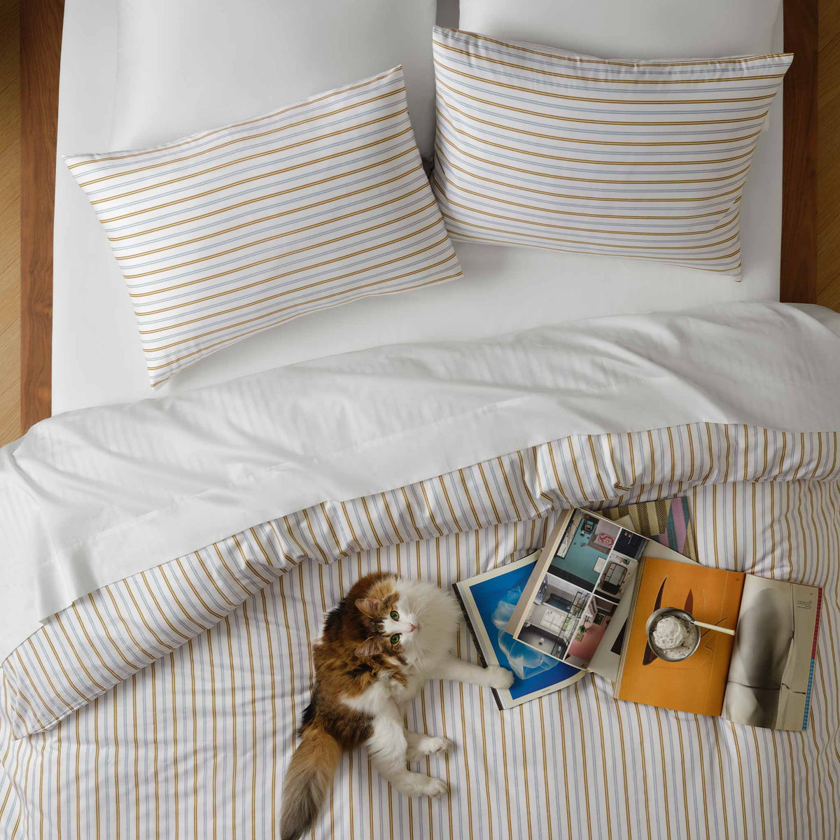 Luxe Sateen Core Sheet Set